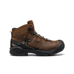 Men's Targhee IV LTR Waterproof Work Boot (Carbon Toe)  |  Bison/Black